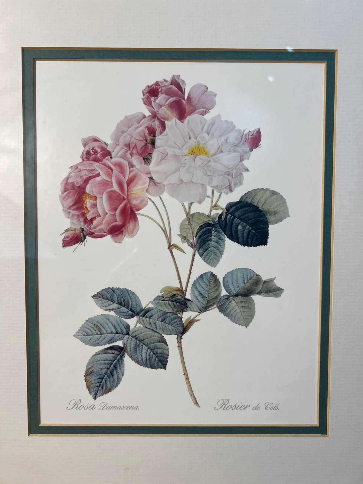 Framed Rosa Damascena Botanical Rose Print Gold Floral Frame photo 2