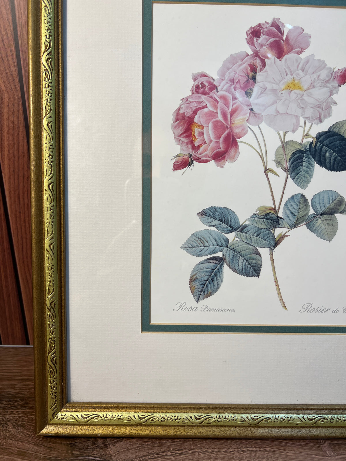 Framed Rosa Damascena Botanical Rose Print Gold Floral Frame photo 5