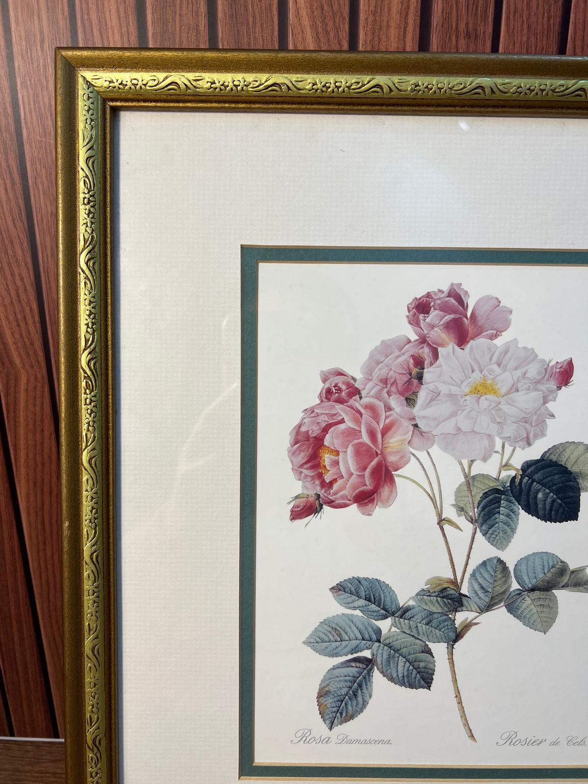 Framed Rosa Damascena Botanical Rose Print Gold Floral Frame photo 3