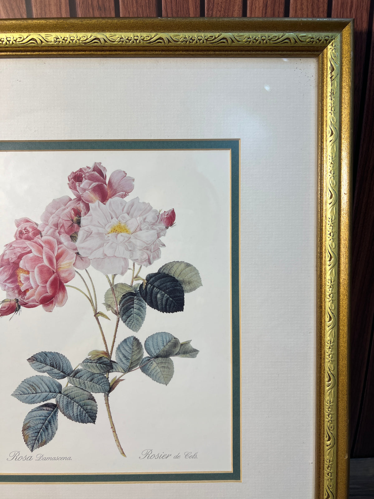 Framed Rosa Damascena Botanical Rose Print Gold Floral Frame photo 4