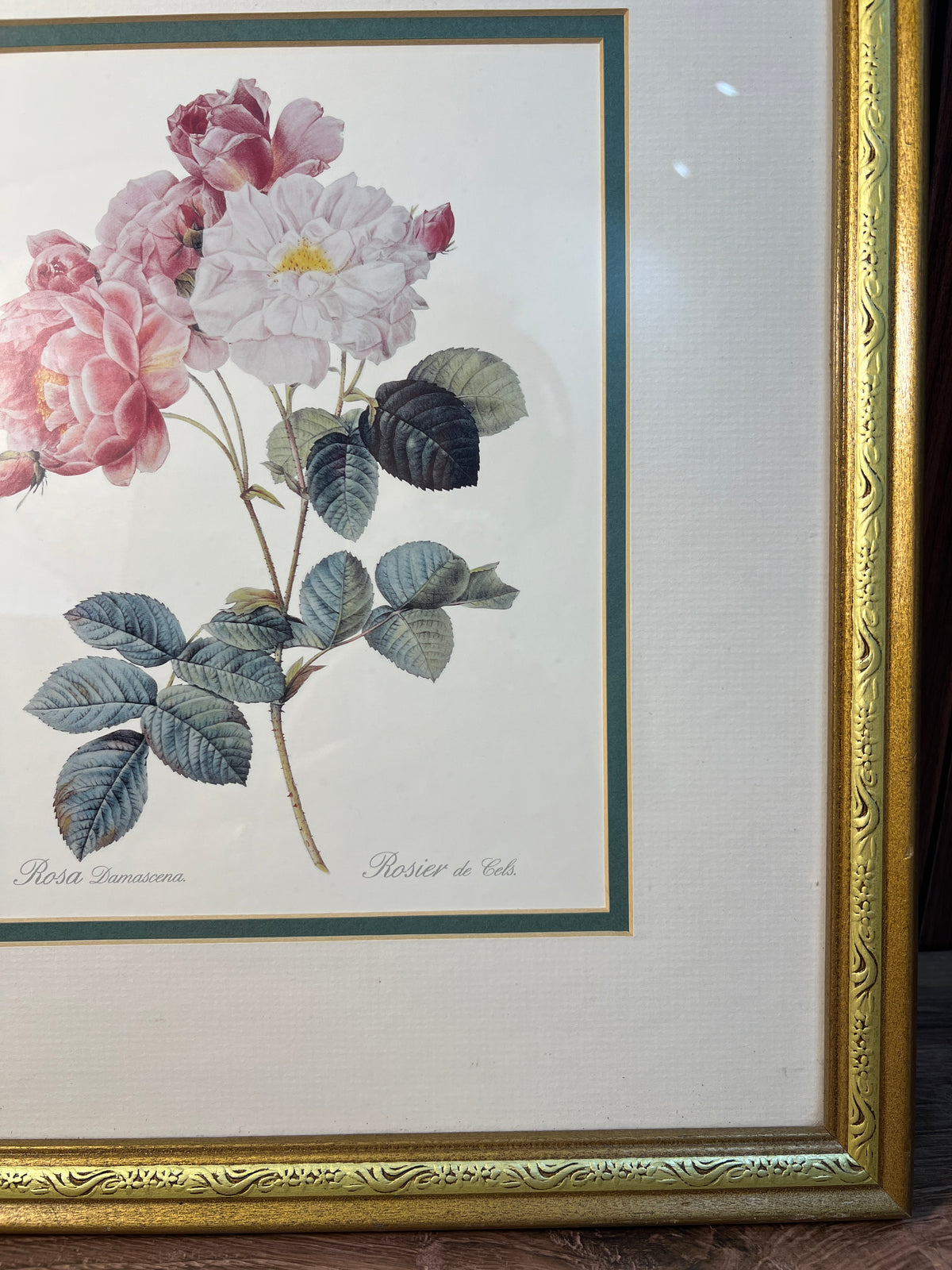 Framed Rosa Damascena Botanical Rose Print Gold Floral Frame photo 6