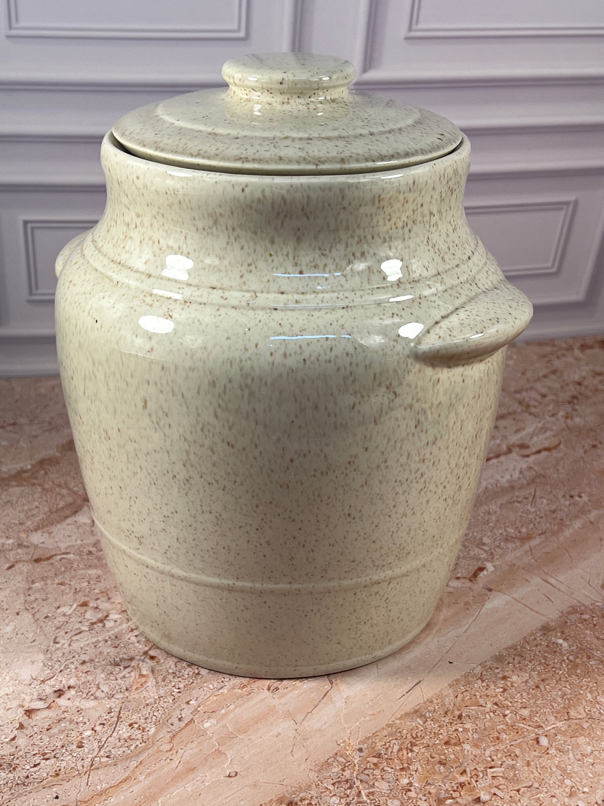 Vintage Speckled Stoneware Cookie Jar with Folk Art Bird Motif photo 4